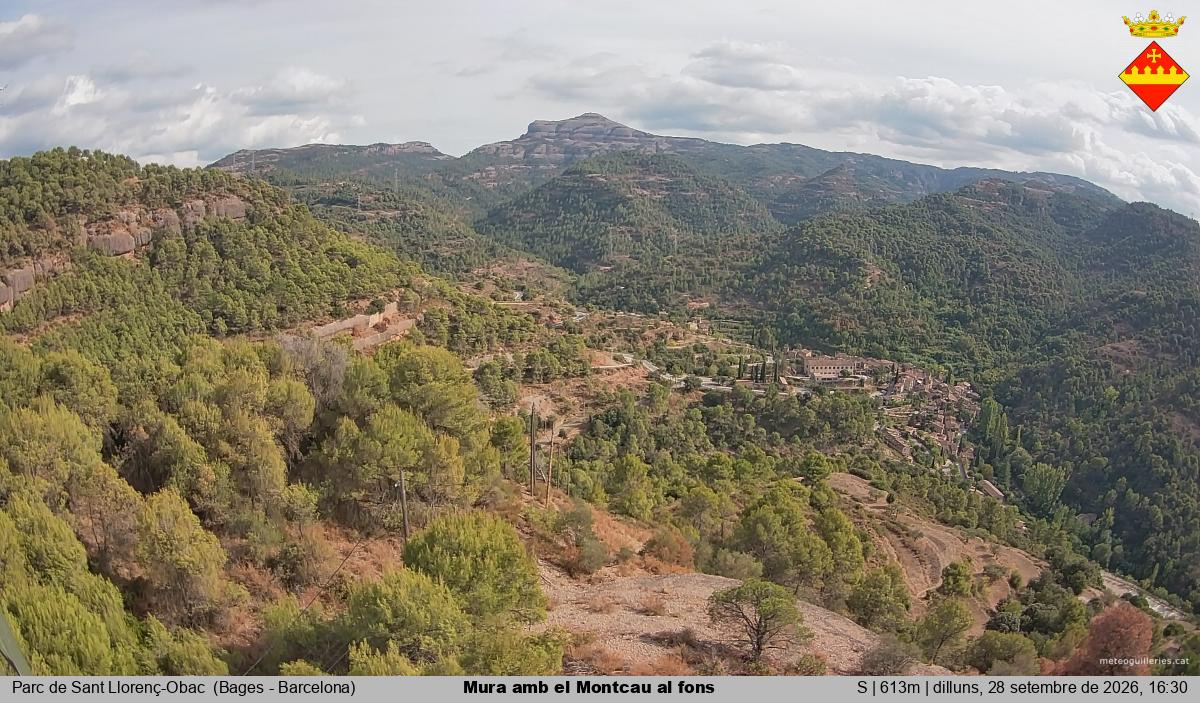 Mura amb el Montcau al fons