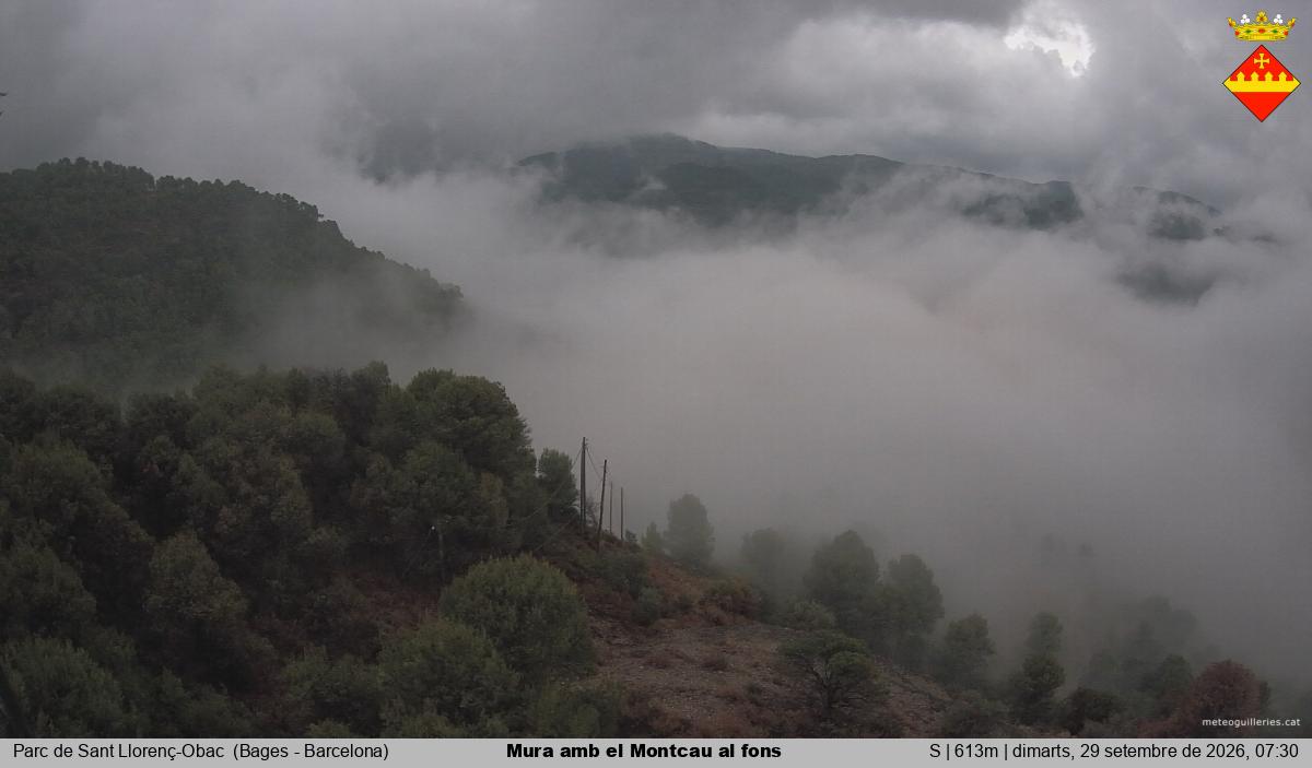 Mura amb el Montcau al fons