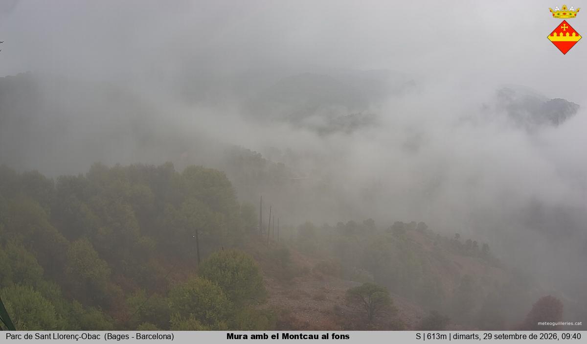 Mura amb el Montcau al fons