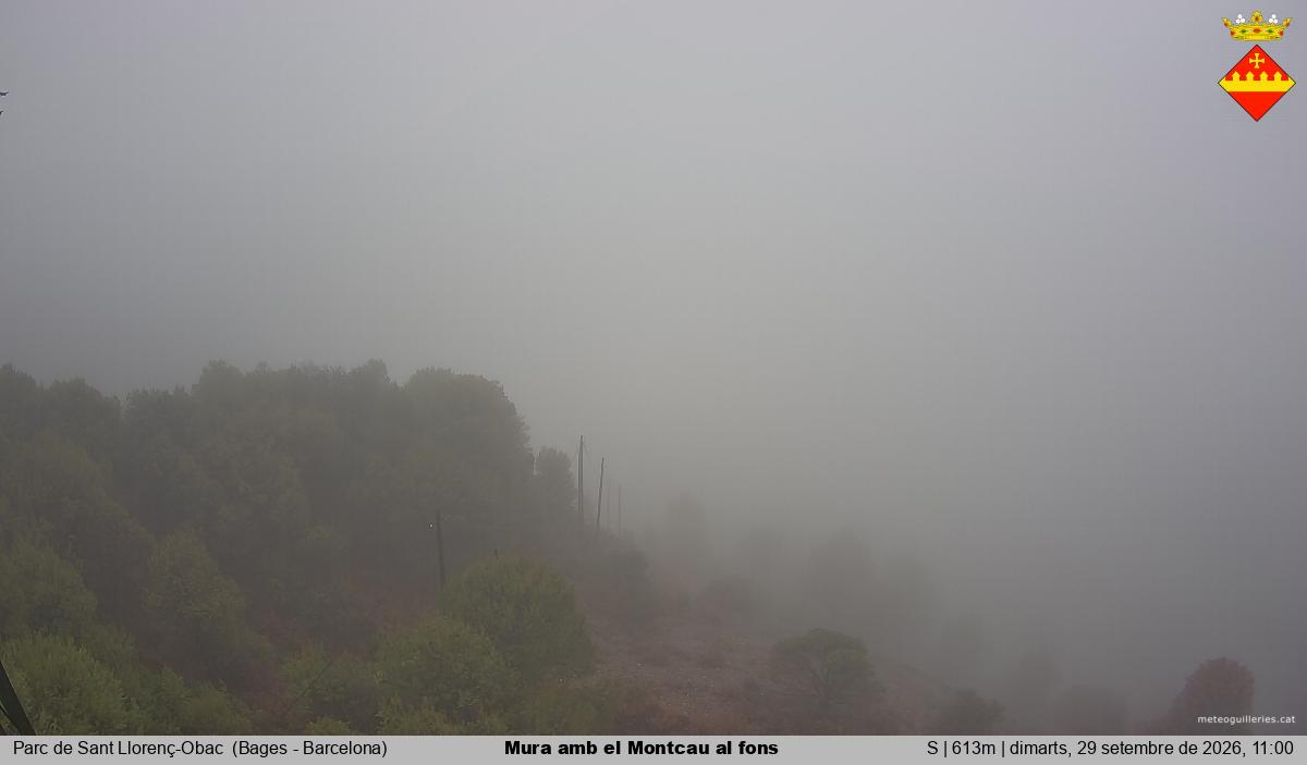 Mura amb el Montcau al fons