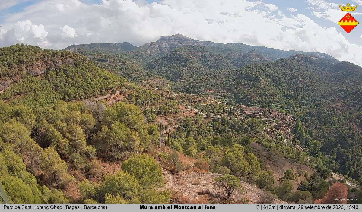 Mura amb el Montcau al fons