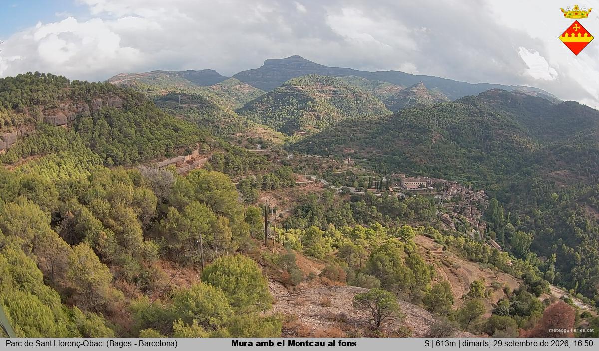 Mura amb el Montcau al fons
