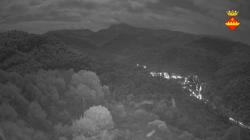 Webcams