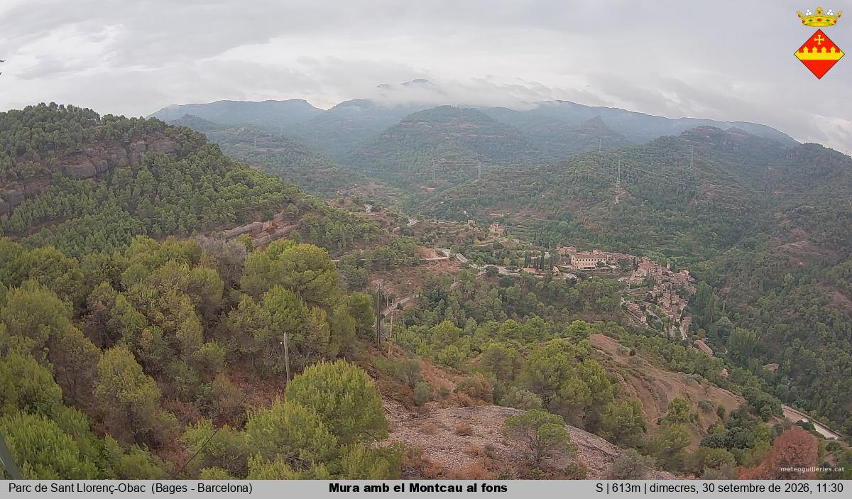 Mura amb el Montcau al fons