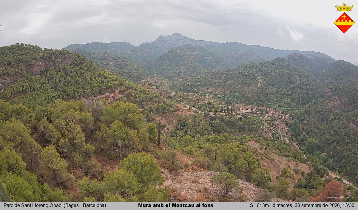 Mura amb el Montcau al fons