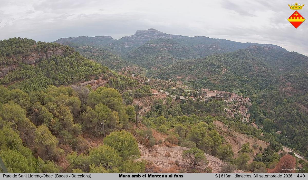 Mura amb el Montcau al fons
