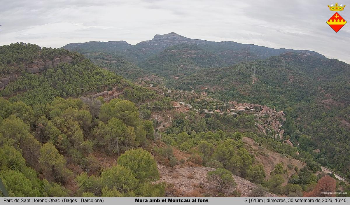 Mura amb el Montcau al fons