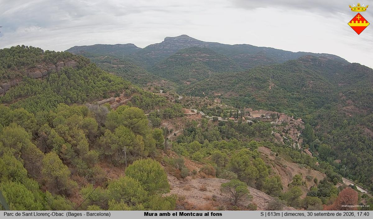 Mura amb el Montcau al fons