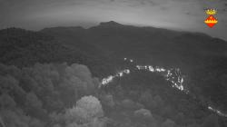 Webcams
