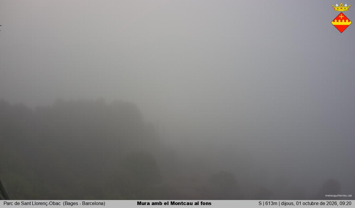 Mura amb el Montcau al fons