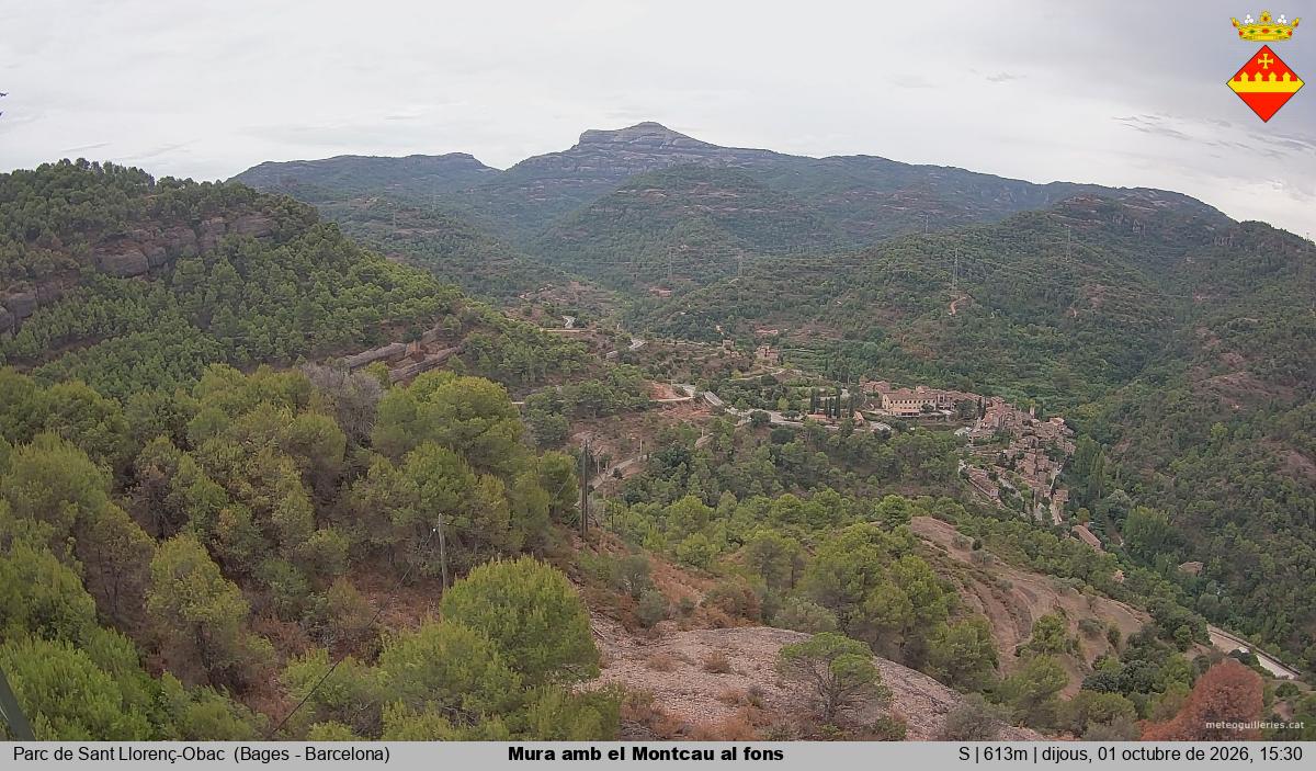 Mura amb el Montcau al fons