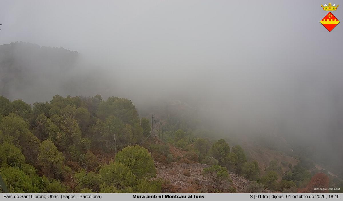 Mura amb el Montcau al fons