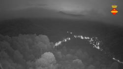Webcams