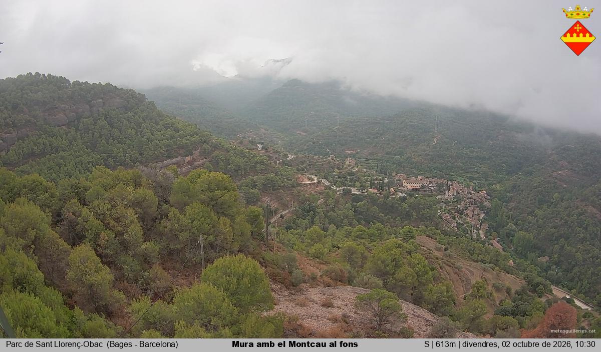 Mura amb el Montcau al fons