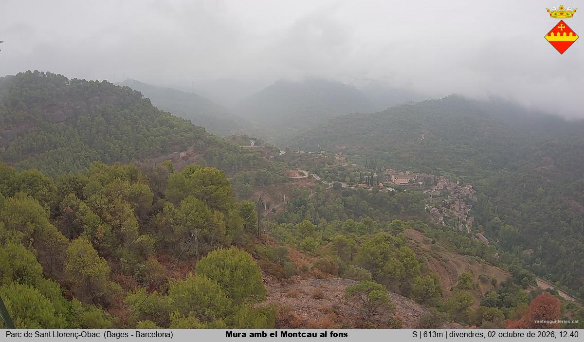 Mura amb el Montcau al fons