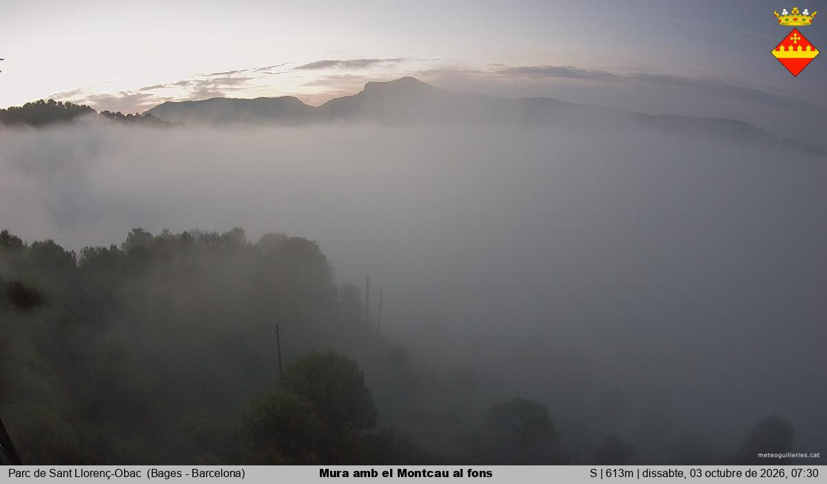 Mura amb el Montcau al fons