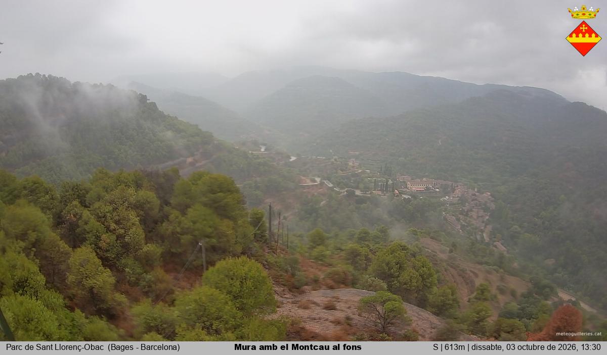 Mura amb el Montcau al fons