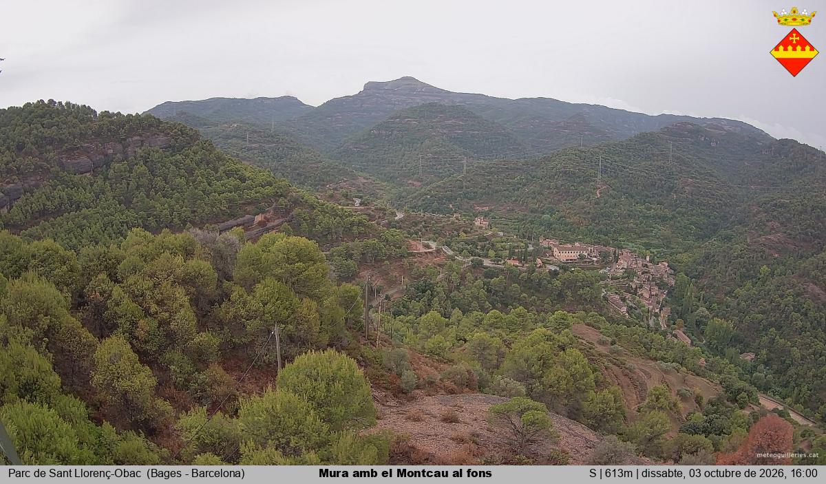 Mura amb el Montcau al fons