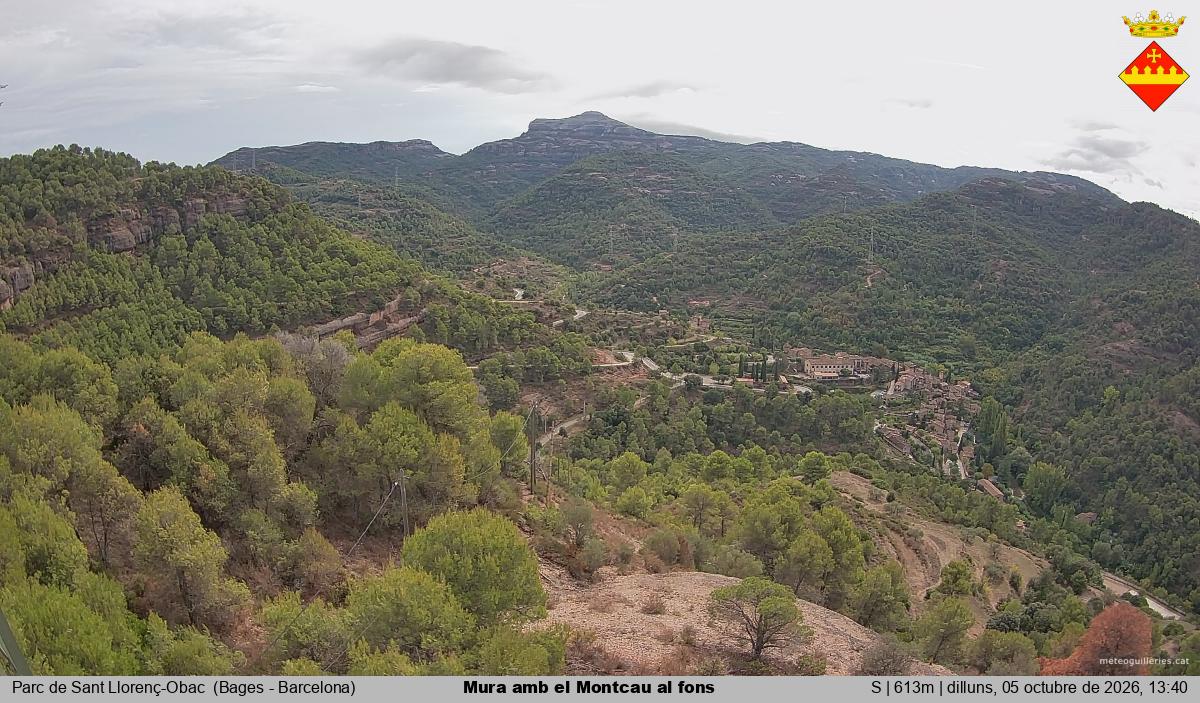 Mura amb el Montcau al fons