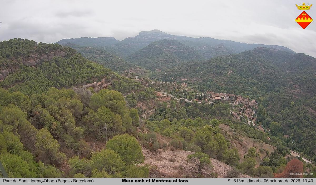 Mura amb el Montcau al fons