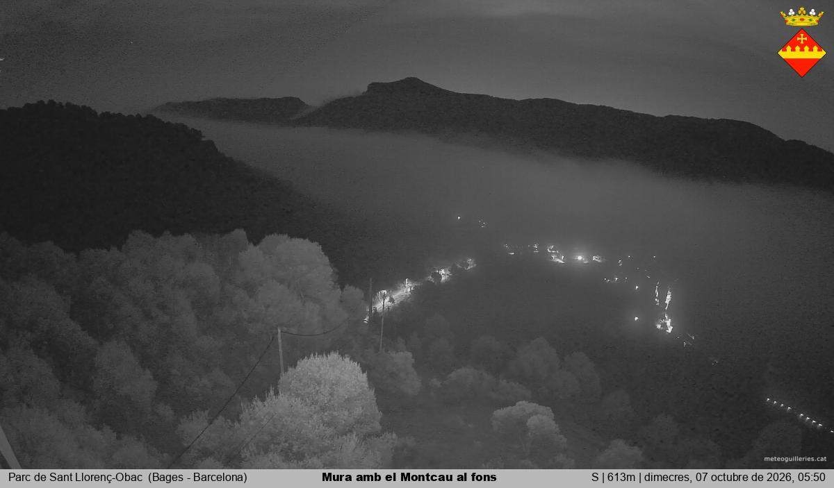 Mura amb el Montcau al fons