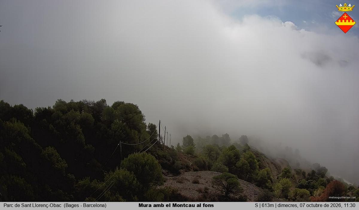 Mura amb el Montcau al fons