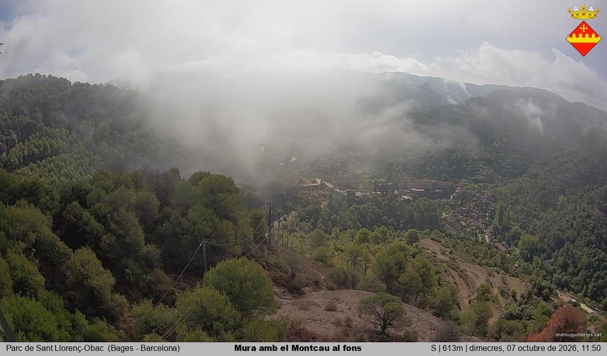 Mura amb el Montcau al fons