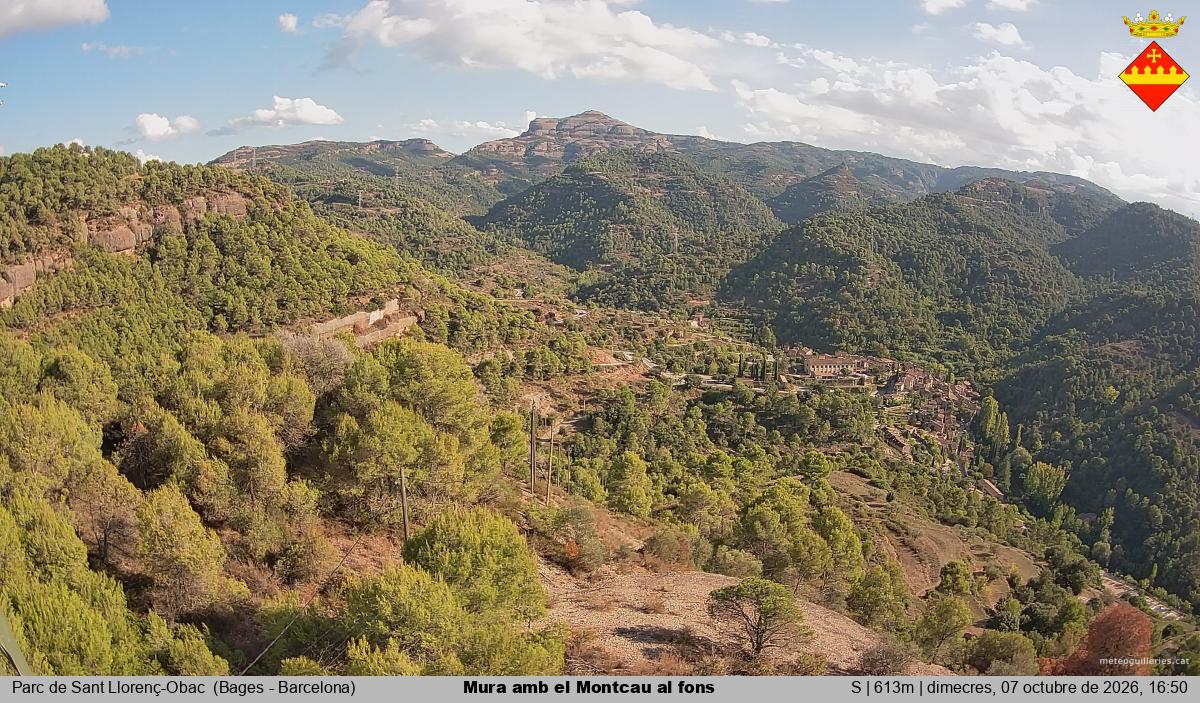 Mura amb el Montcau al fons