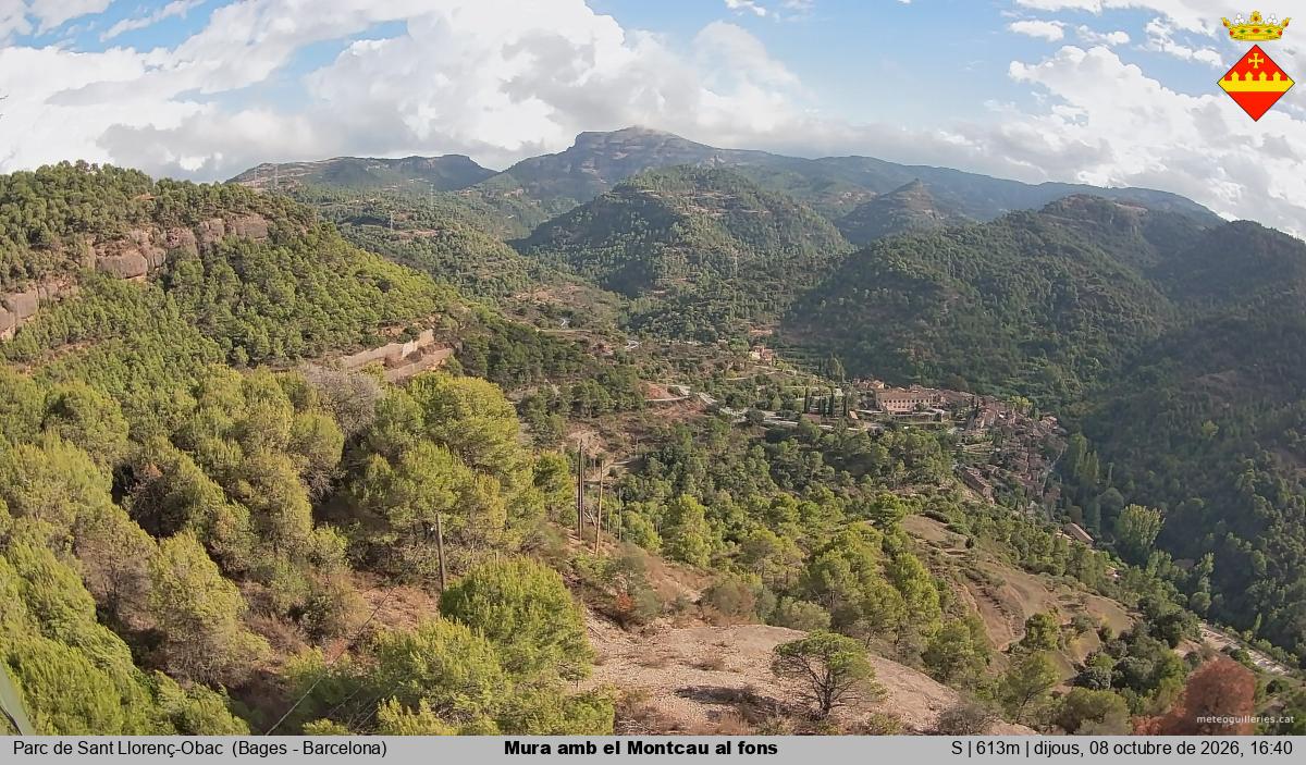 Mura amb el Montcau al fons