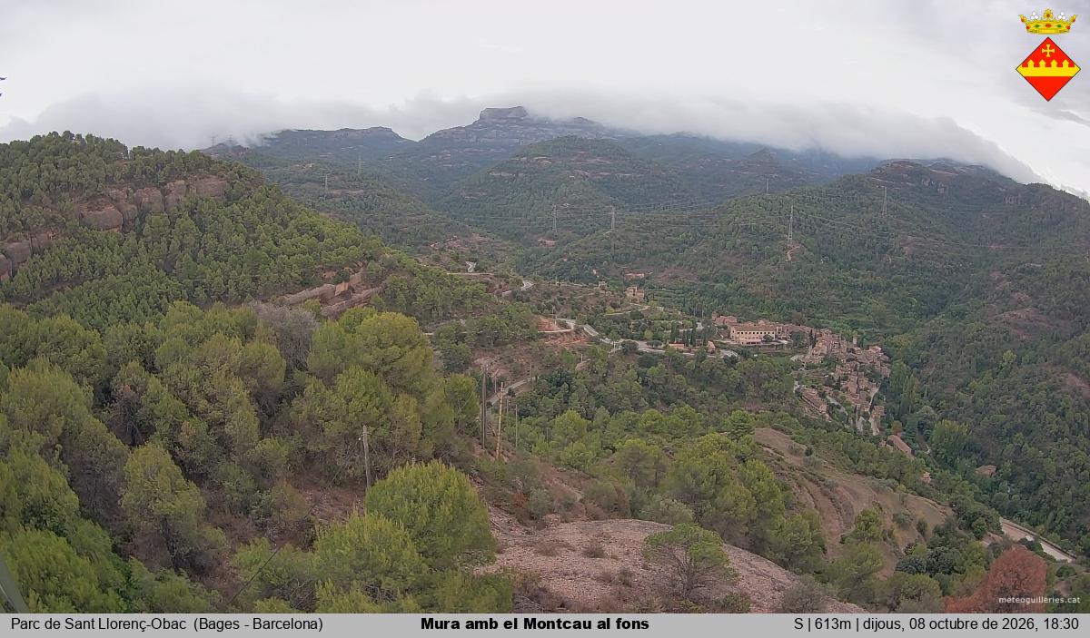 Mura amb el Montcau al fons