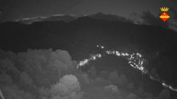 Webcams