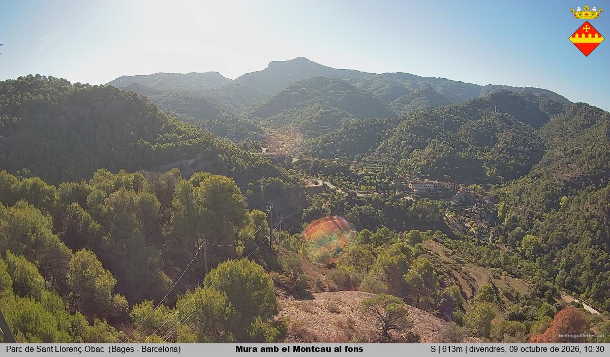 Mura amb el Montcau al fons