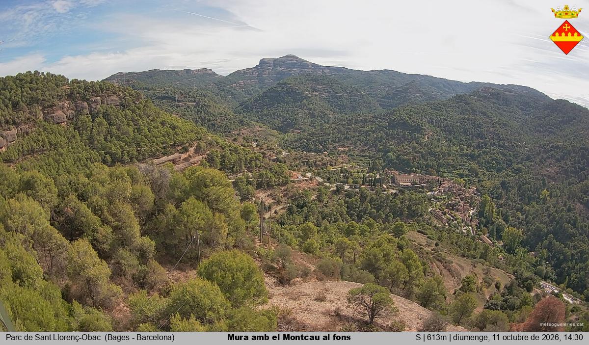 Mura amb el Montcau al fons