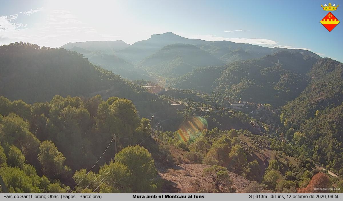 Mura amb el Montcau al fons