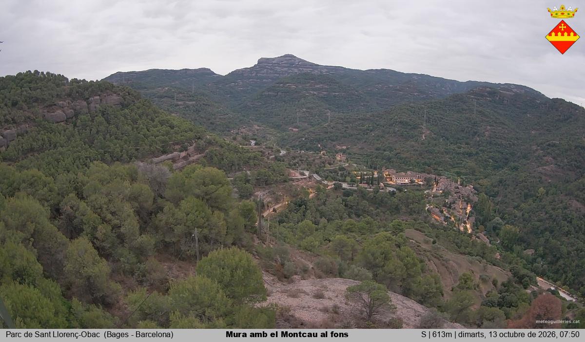 Mura amb el Montcau al fons