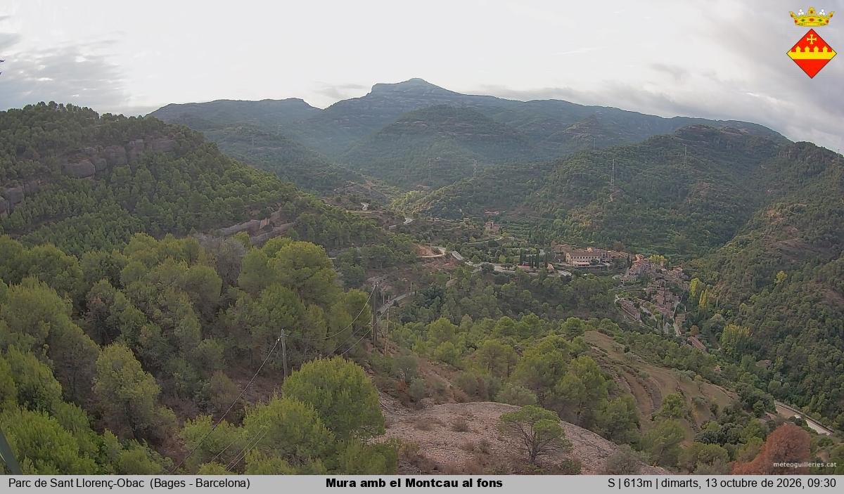 Mura amb el Montcau al fons