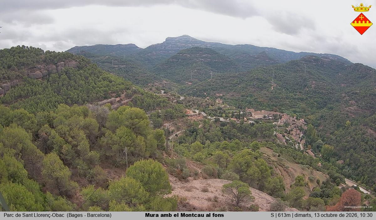 Mura amb el Montcau al fons