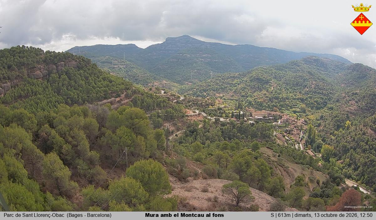 Mura amb el Montcau al fons