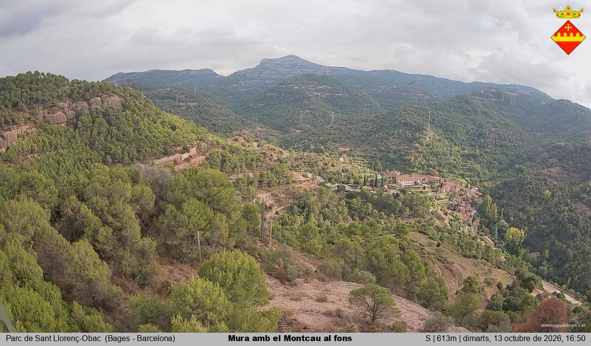 Mura amb el Montcau al fons