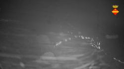 Webcams