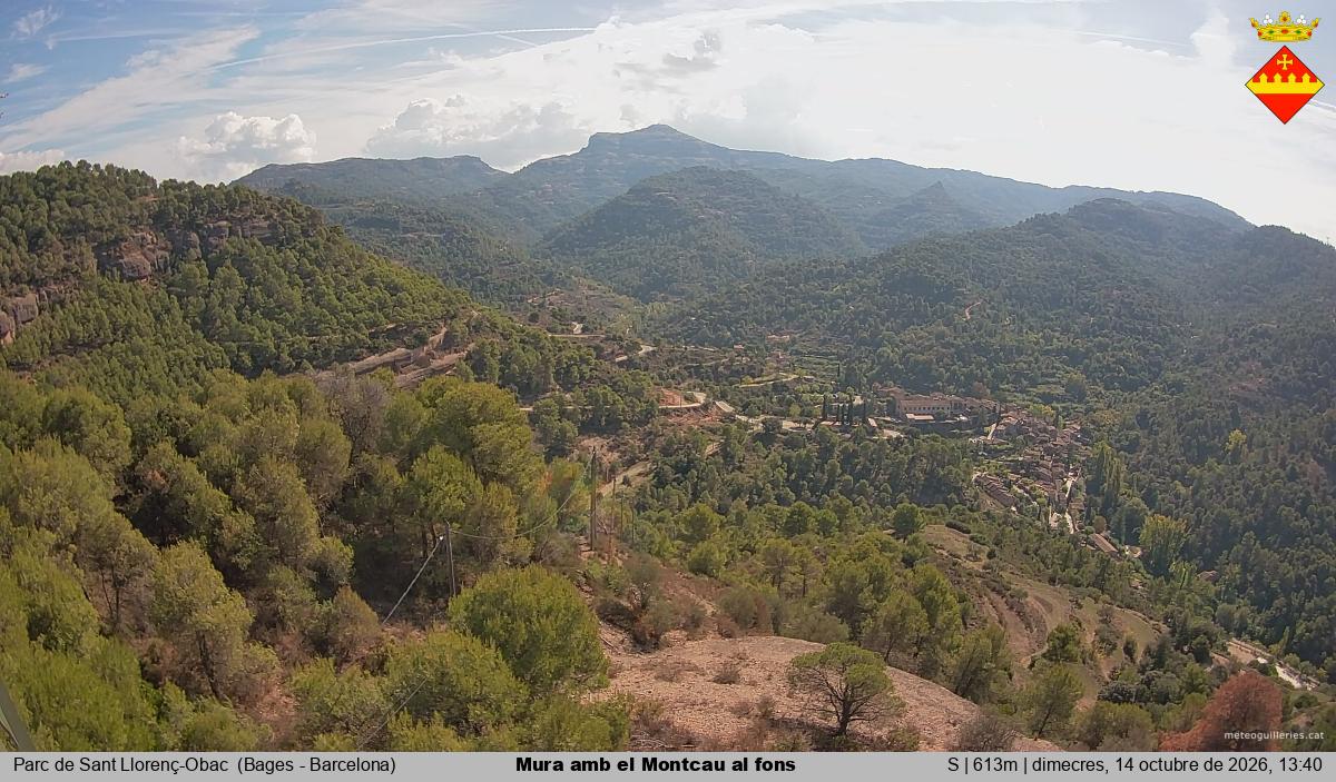Mura amb el Montcau al fons