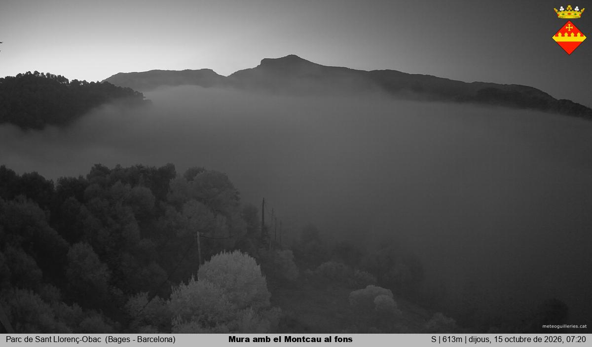 Mura amb el Montcau al fons