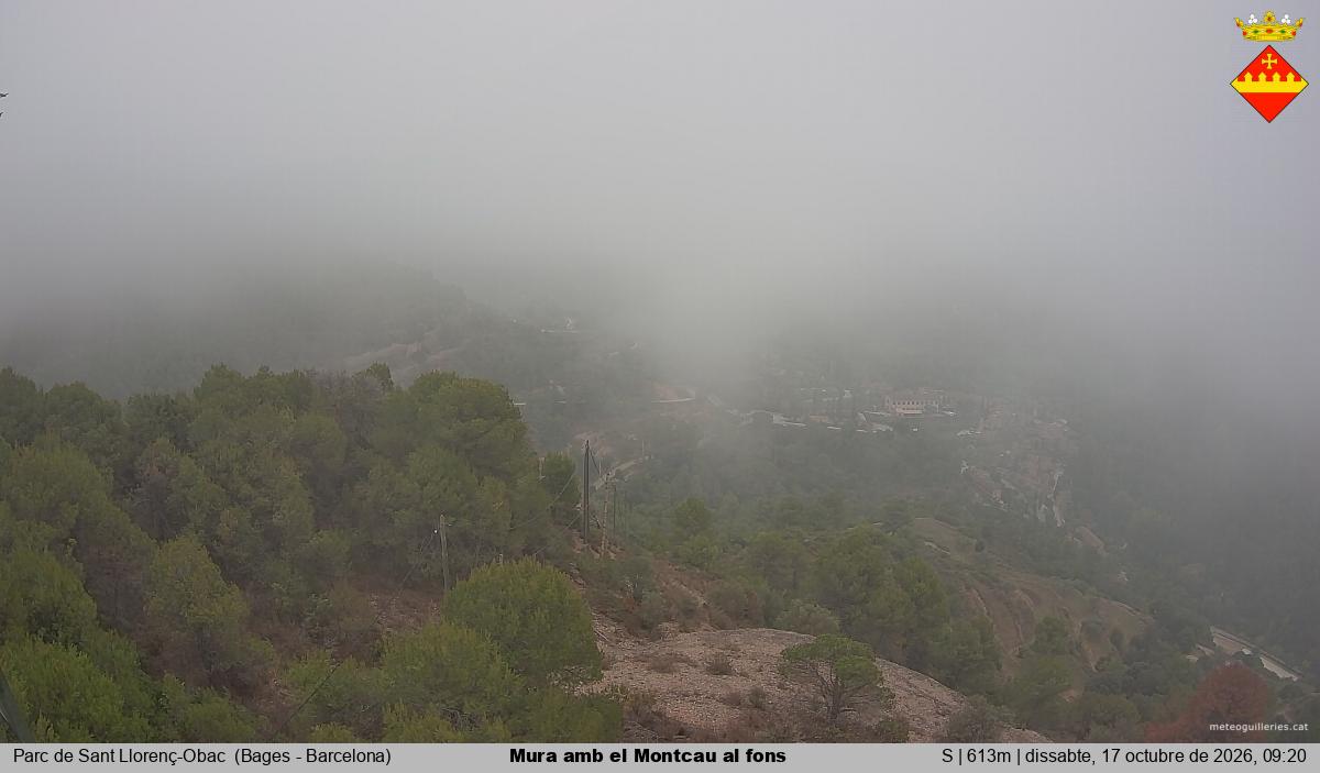 Mura amb el Montcau al fons