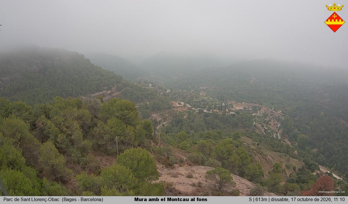 Mura amb el Montcau al fons