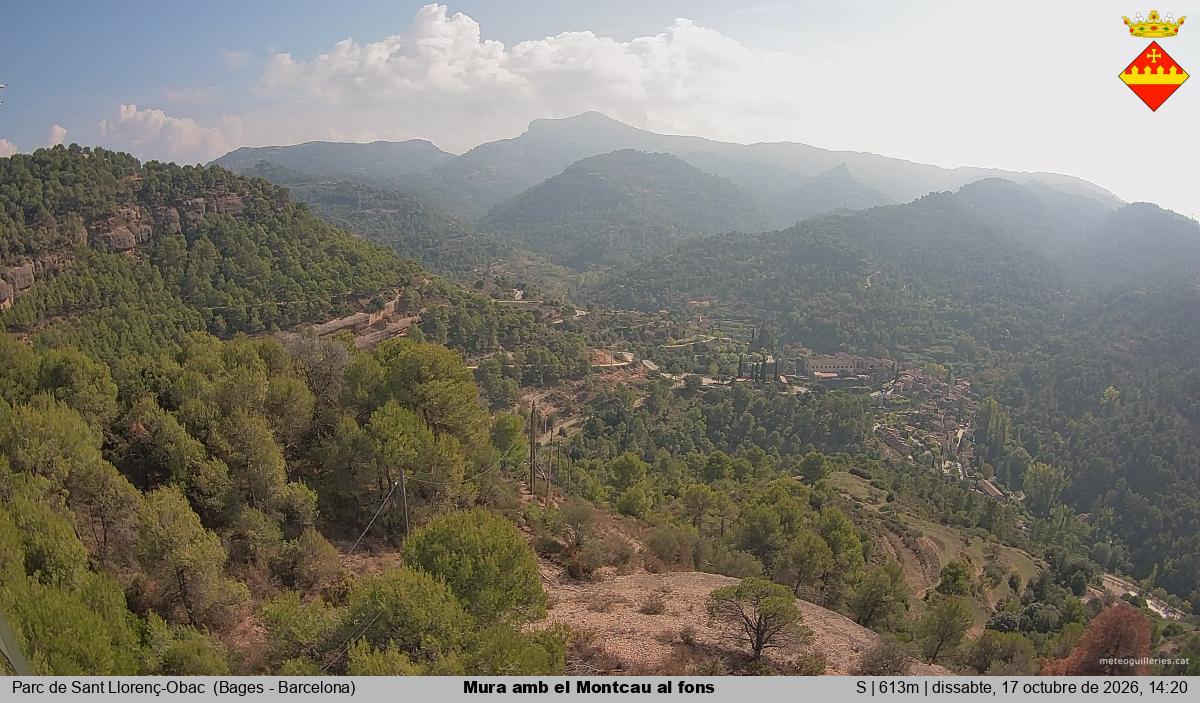 Mura amb el Montcau al fons