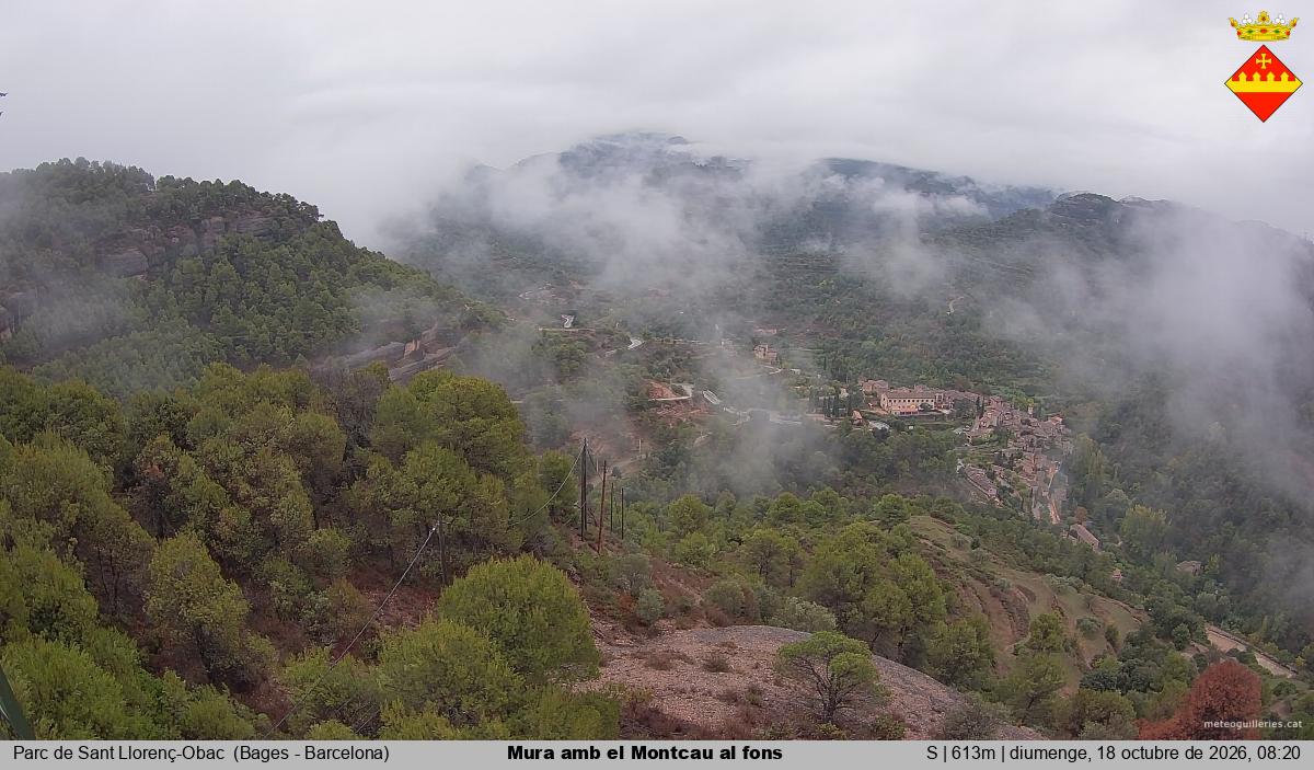 Mura amb el Montcau al fons