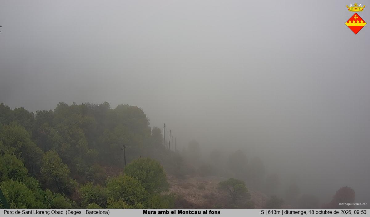 Mura amb el Montcau al fons