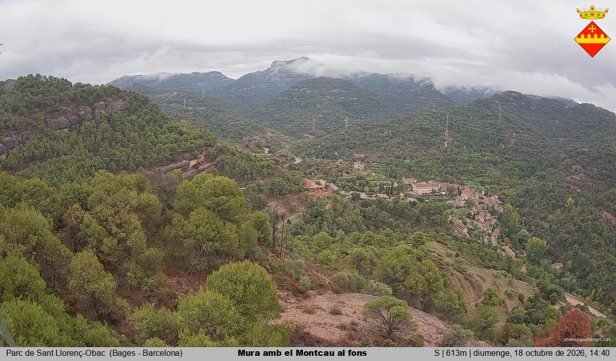 Mura amb el Montcau al fons