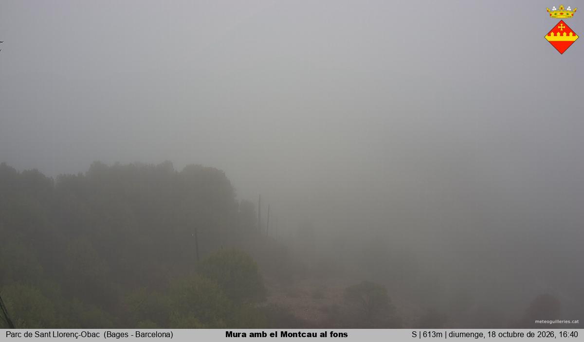 Mura amb el Montcau al fons