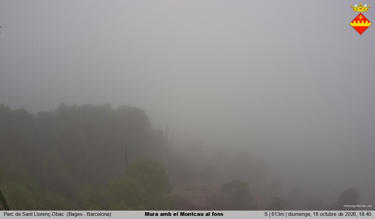 Mura amb el Montcau al fons